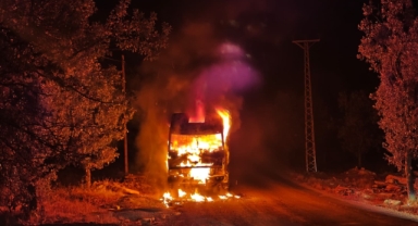 Park halindeki kamyon cayır cayır yandı