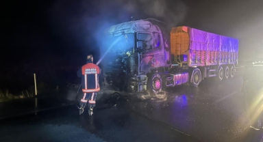 Park halindeki tırda çıkan yangında hasar oluştu