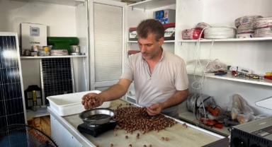 Rekolte düşüklüğü fındık fiyatlarını yükseltti