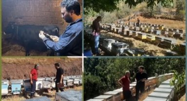 Şebinkarahisar İlçe Müdürlüğü Veteriner Sağlık Ekipleri Sahada Çalışmalarını Sürdürüyor