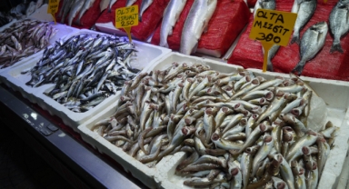 Sezonun ilk balıkları tezgahlarda