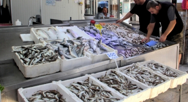 Sinop'ta balıkçılar denizden umduğunu bulamadı