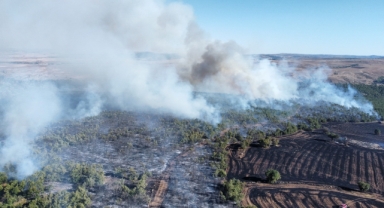 Tarım arazisindeki yangın ormanlık alana sıçradı