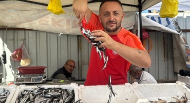 Tezgahlarda hamsi bolluğu