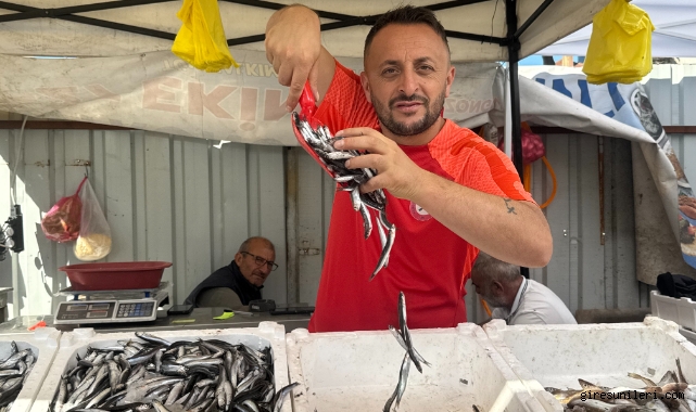 Tezgahlarda hamsi bolluğu
