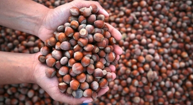 Ticaret Borsası Açıkladı: Giresun Üçüncü Sırada! 