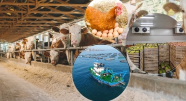 TKDK Giresun Duyurdu: Başvuru Çağrı İlanı Yayımlandı!