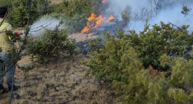 Tokat'ta çıkan orman yangını kontrol altına alındı