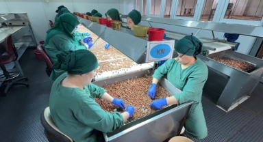 Türk Fındığı 124 Ülkede Talep Görerek Global Pazarda Güçlendi