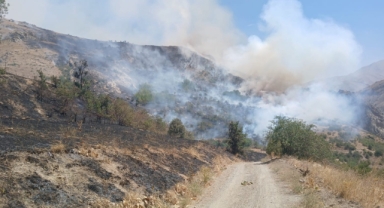 Türkiye-İran sınırında yangın: Vatandaşlar müdahale etti