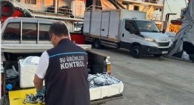 Usulsüz hamsi çıkışına ceza