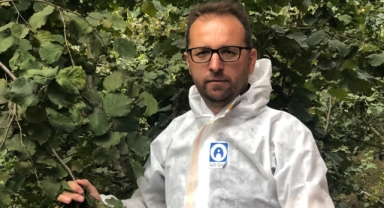 Uzmanından Uyarı: Kahverengi Kokarca ile Mücadelede Hayati Dönem! 