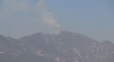 Yangının 5. gününde havadan müdahale yeniden başladı