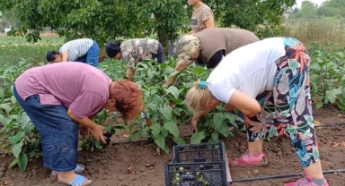 Yanlış çalışma hastanelik ediyor