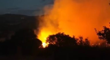 Yol kenarında başlayan yangın ormana sıçradı