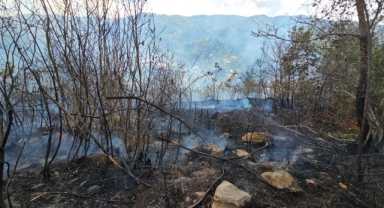 Zonguldak'ta çıkan örtü yangını kontrol altına alındı