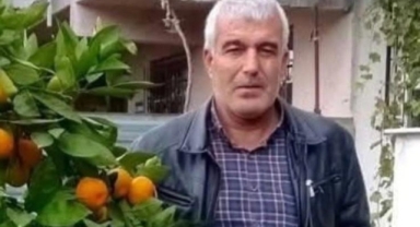 Ağaç Keserken Devrilen Ağacın Altında Kalan Adam Hayatını Kaybetti