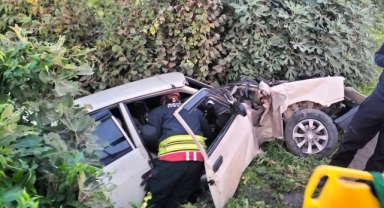 Ağaçlık alana düşen otomobildeki 2 kişi yaralandı