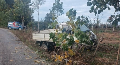 Bahçe çitine çarpan kamyonetin sürücüsü yaralandı