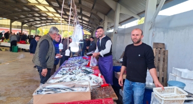 Balık bollaştı, fiyatlar düştü