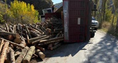 Çorum'da devrilen kamyonun sürücüsü yaralandı