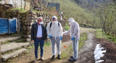 Doğankent’te Kahverengi Kokarca ile “Cezbet-Öldür” Mücadelesi Sürüyor