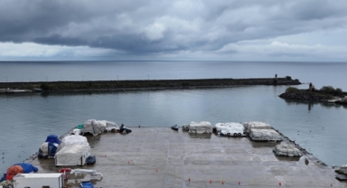 Doğu Karadeniz'in üç limanında metal kirliliği incelendi