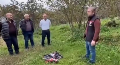 Fındıkta Doğru Budama Verimi Katlıyor! Giresunlu Üreticilere Uygulamalı Eğitim