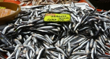 Fırtına Dindi, Sofralar Şenlendi: Balık Fiyatlarında Büyük Düşüş