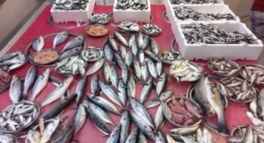 Giresun'da balık fiyatları bugün ne kadar?