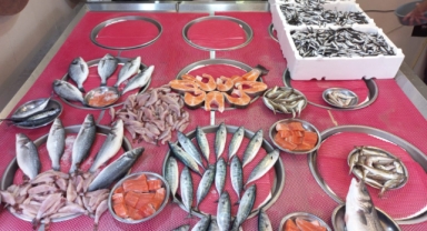 Giresun'da balık fiyatları bugün ne kadar?