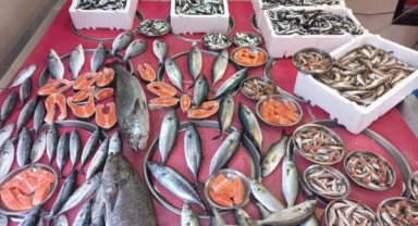 Giresun'da balık fiyatları bugün ne kadar?