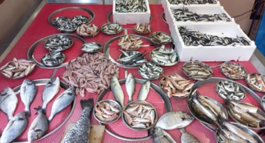 Giresun'da balık fiyatları bugün ne kadar?