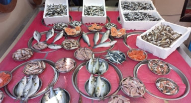 Giresun'da balık fiyatları bugün ne kadar?