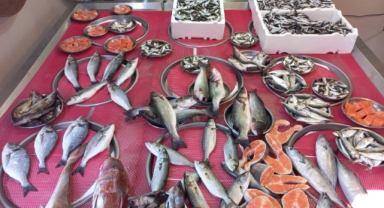 Giresun'da balık fiyatları bugün ne kadar?