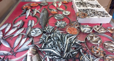 Giresun'da balık fiyatları bugün ne kadar?