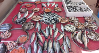 Giresun'da balık fiyatları bugün ne kadar?