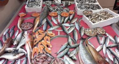 Giresun'da balık fiyatları bugün ne kadar?