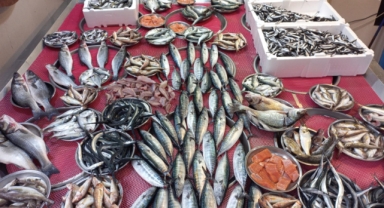 Giresun'da balık fiyatları bugün ne kadar?