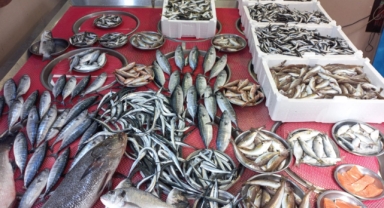 Giresun'da balık fiyatları bugün ne kadar?