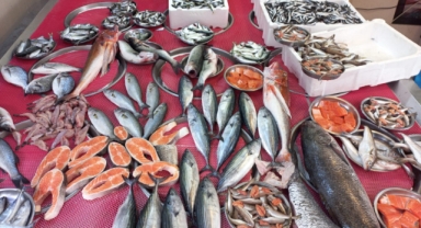 Giresun'da Balık Fiyatları Bugün Ne Kadar? Hamsi Kaç TL?