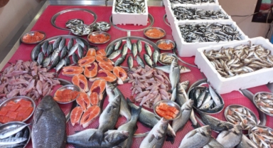 Giresun'da Balık Fiyatları Bugün Ne Kadar? Hamsi Kaç TL?