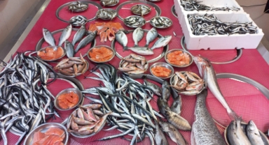 Giresun'da Balık Fiyatları Bugün Ne Kadar? Hamsi Kaç TL?