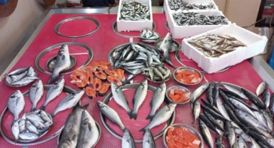 Giresun'da Balık Fiyatları Bugün Ne Kadar? Hamsi Kaç TL?