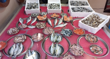 Giresun'da balık fiyatları haftaya nasıl başladı? Hamsi kaç TL? 