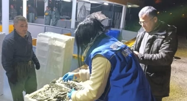 Giresun'da Ekipler Denizde: Hamsi Avında Kural İhlaline İzin Yok!