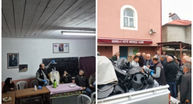 Giresun'da Fındığın Düşmanı Kahverengi Kokarca'ya Karşı Seferberlik!