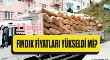 Giresun'da fındık piyasasında son durum… Fındık fiyatları bugün ne kadar?