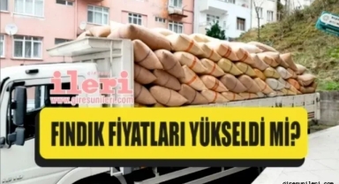 Giresun'da fındık piyasasında son durum… Fındık fiyatları yükseldi mi?