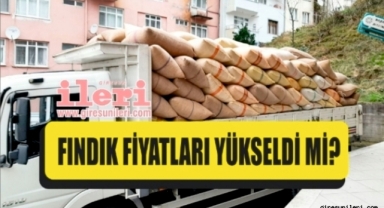 Giresun'da fındık piyasasında son durum… Fındık fiyatları yükseldi mi?